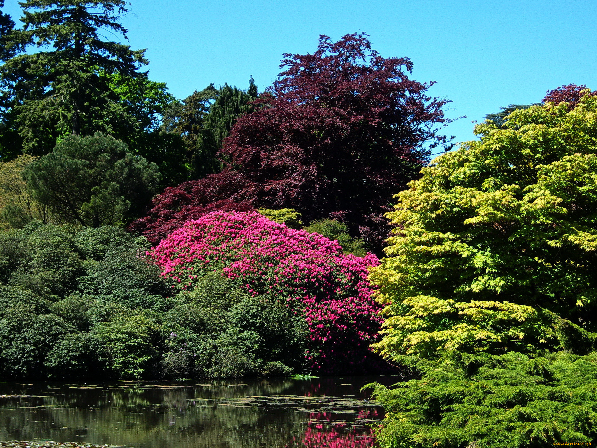 sheffield park garden england, , , , , , 